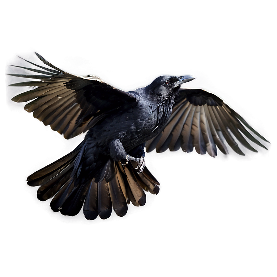 Raven In Flight Png 05062024 PNG image