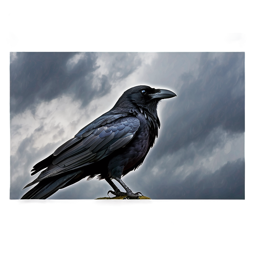 Raven In Stormy Sky Png 13 PNG image