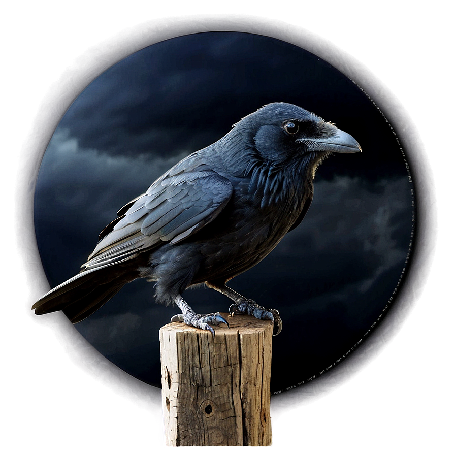 Raven In Stormy Sky Png 81 PNG image