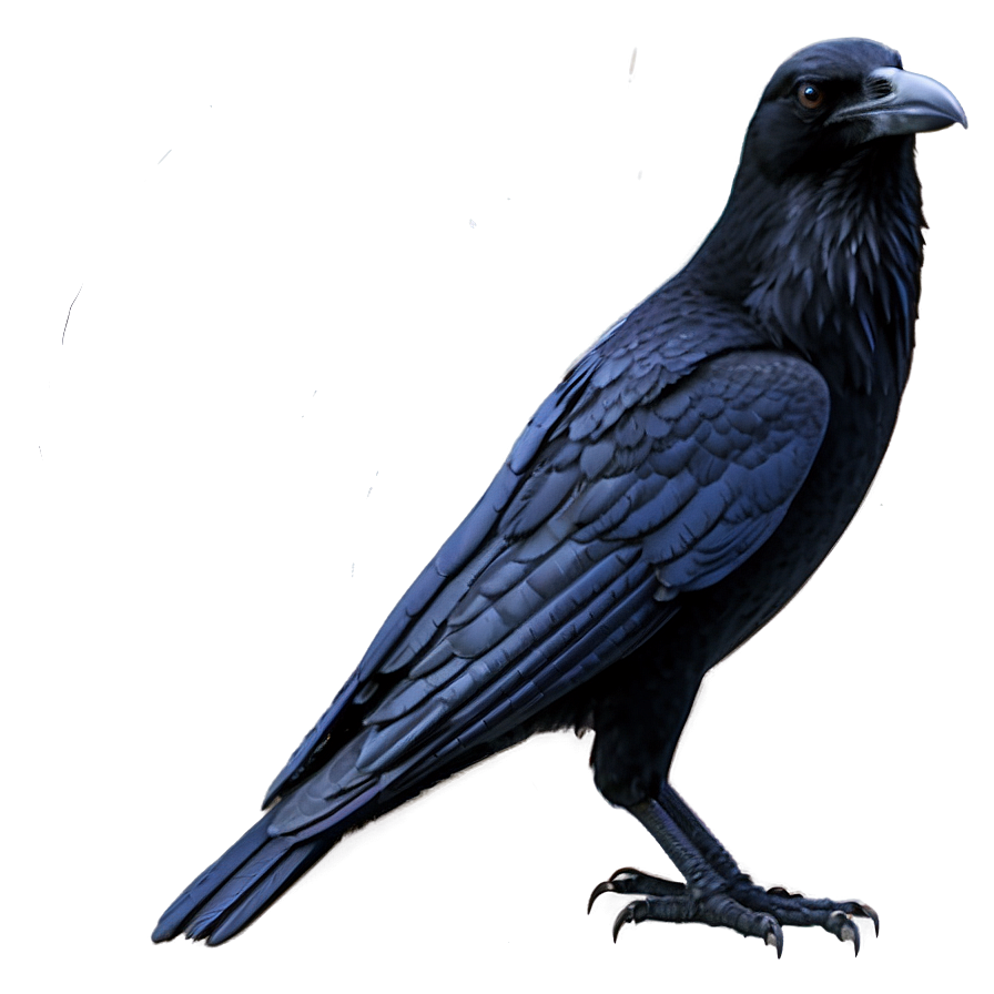 Raven Outline Png Owm25 PNG image