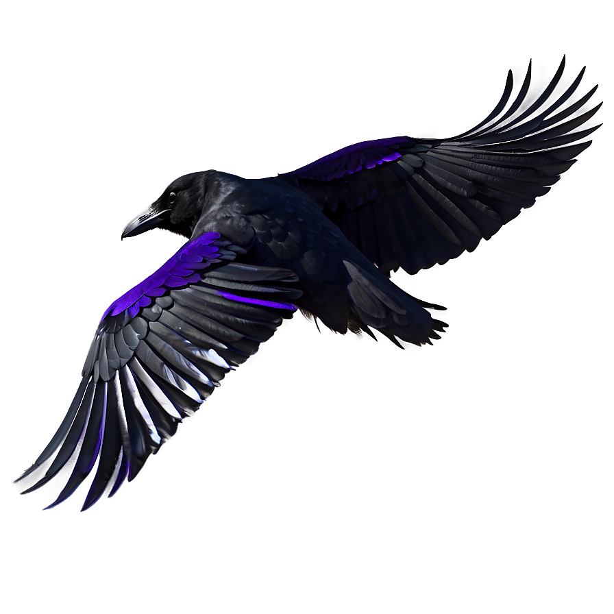 Raven Profile View Png Kww49 PNG image