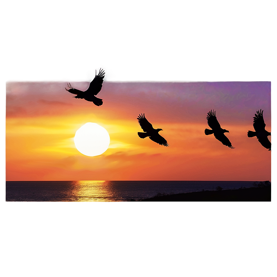 Ravens Flock At Sunset Png 11 PNG image