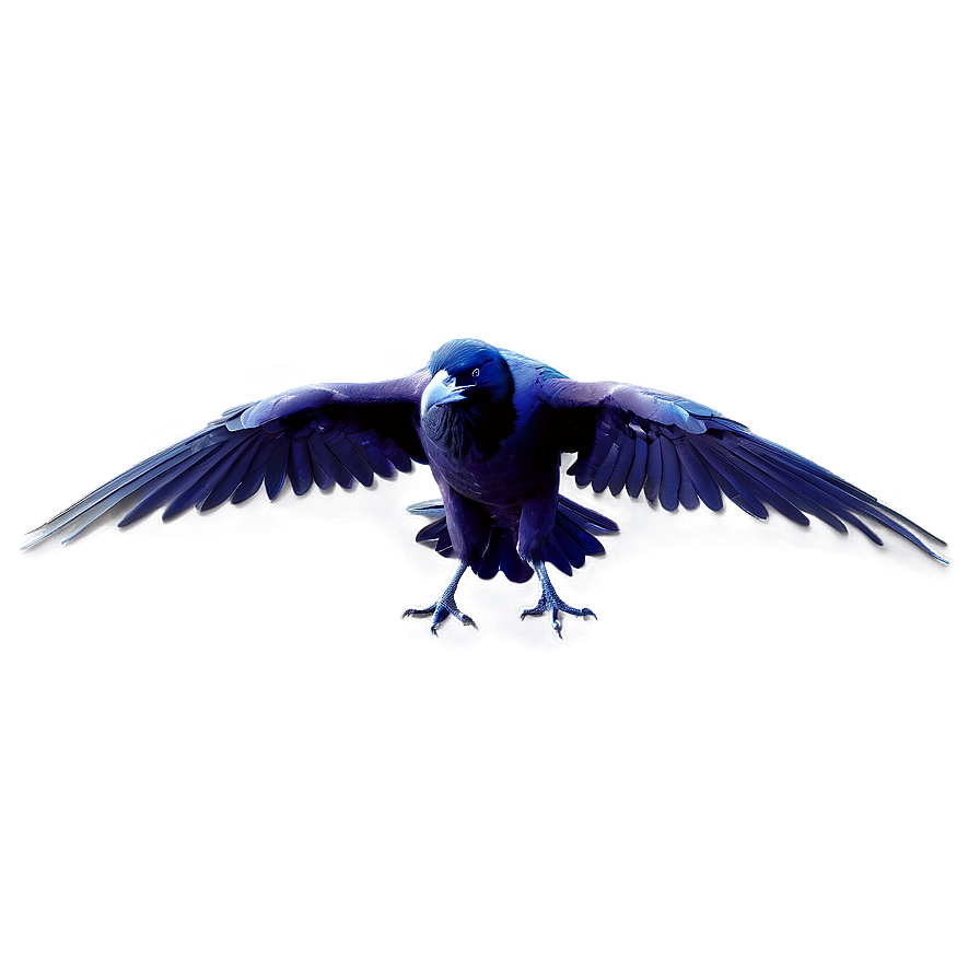 Ravens In Mythology Png 06122024 PNG image