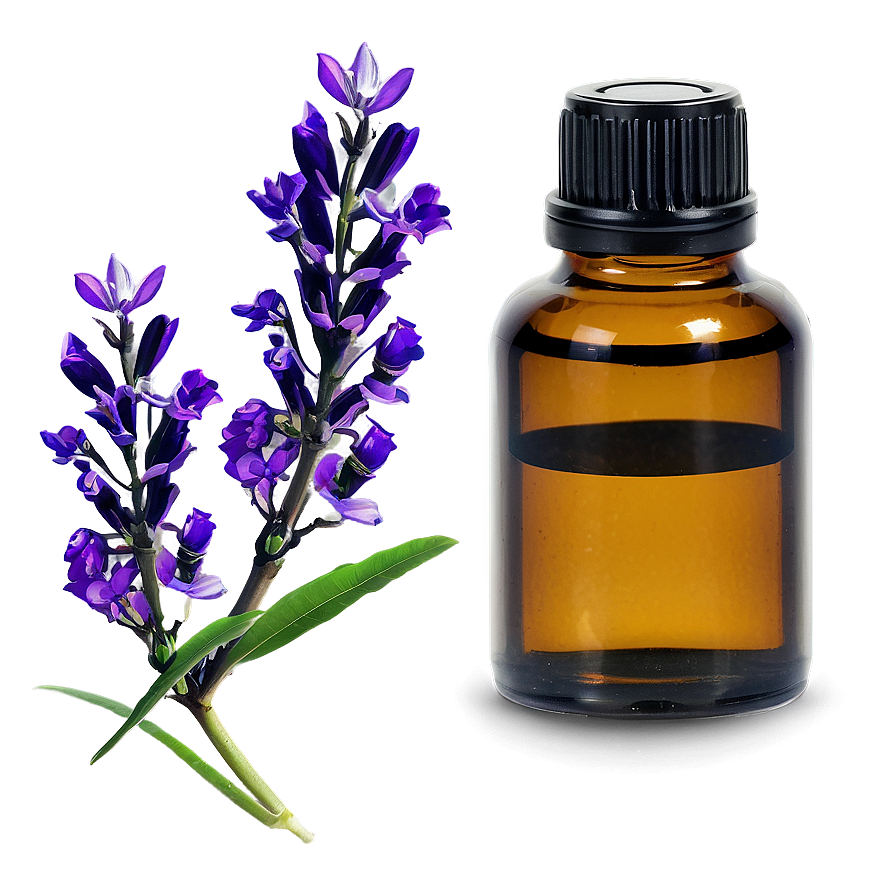 Ravensara Essential Oil Png Gjh20 PNG image