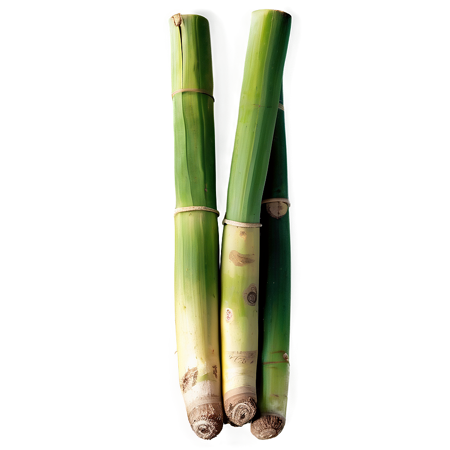 Raw Organic Sugarcane Png Mwj PNG image