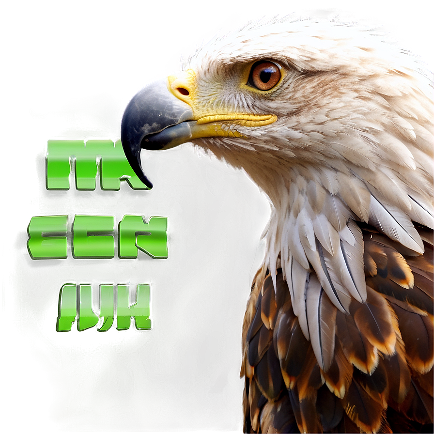 Realistic Aguila Png 10 PNG image