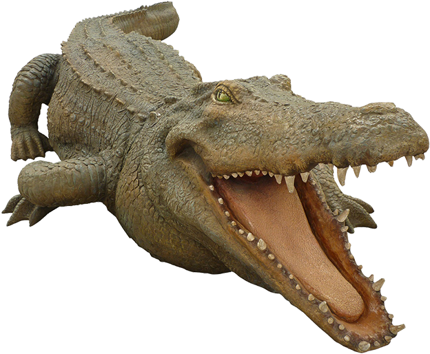 Realistic Alligator Modelwith Open Mouth PNG image