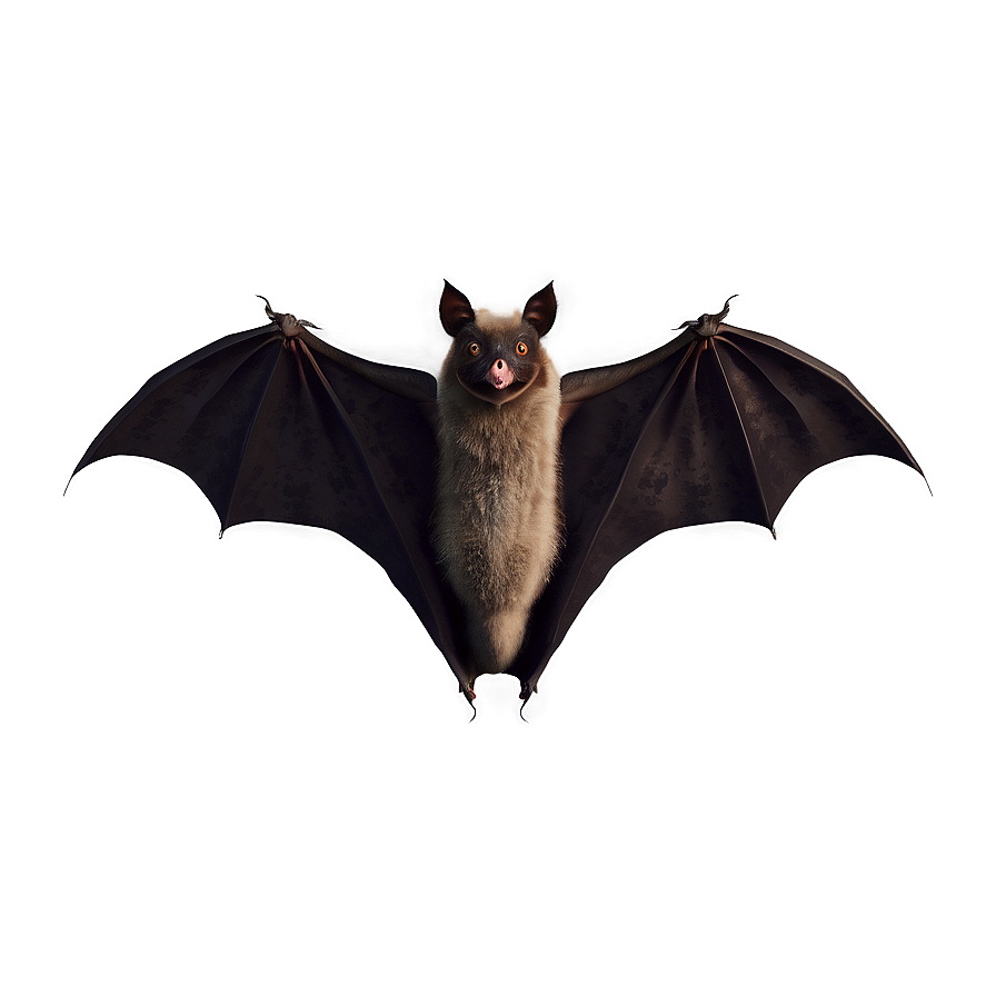 Realistic Bats Illustration Png 05232024 PNG image