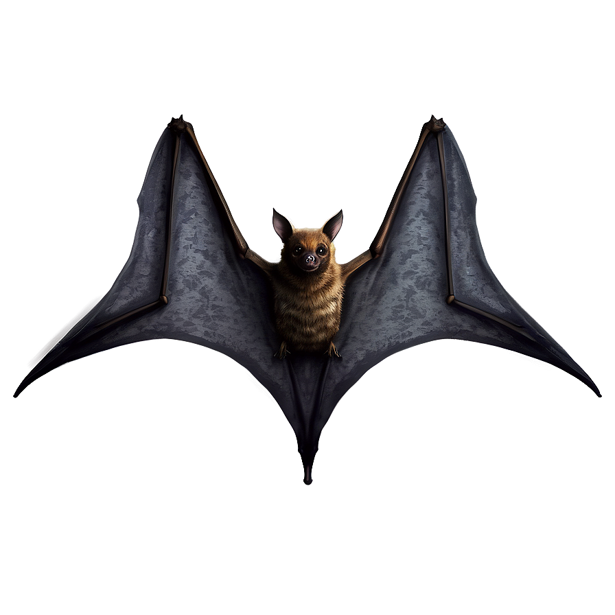 Realistic Bats Illustration Png 96 PNG image