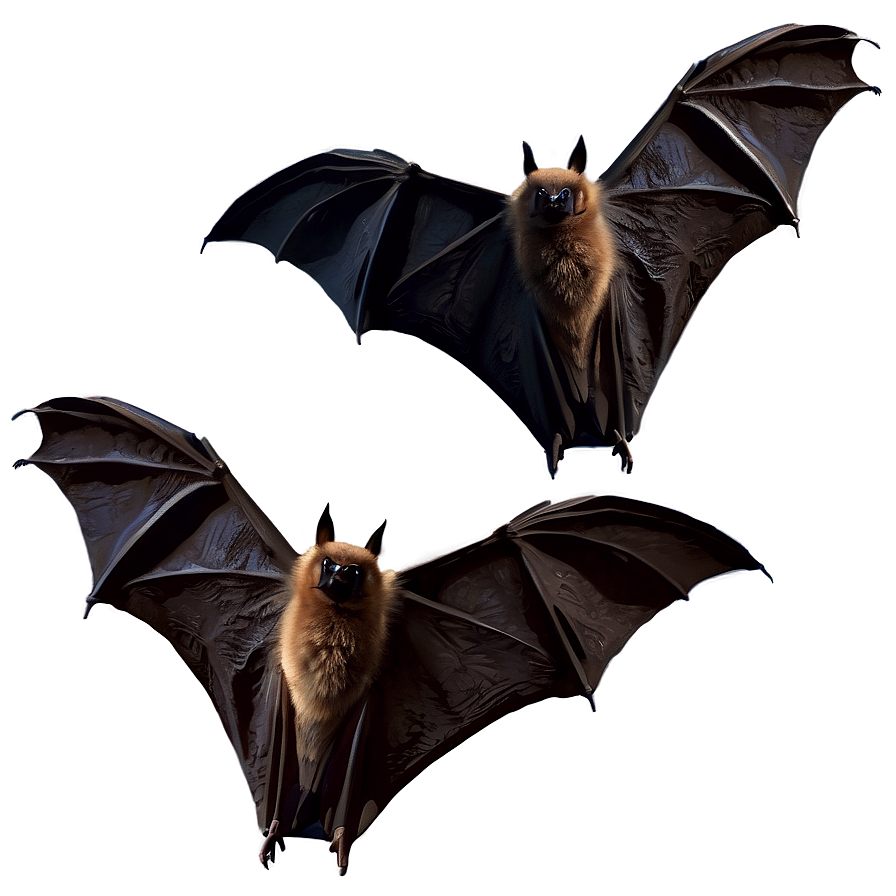 Realistic Bats Illustration Png Vdu89 PNG image