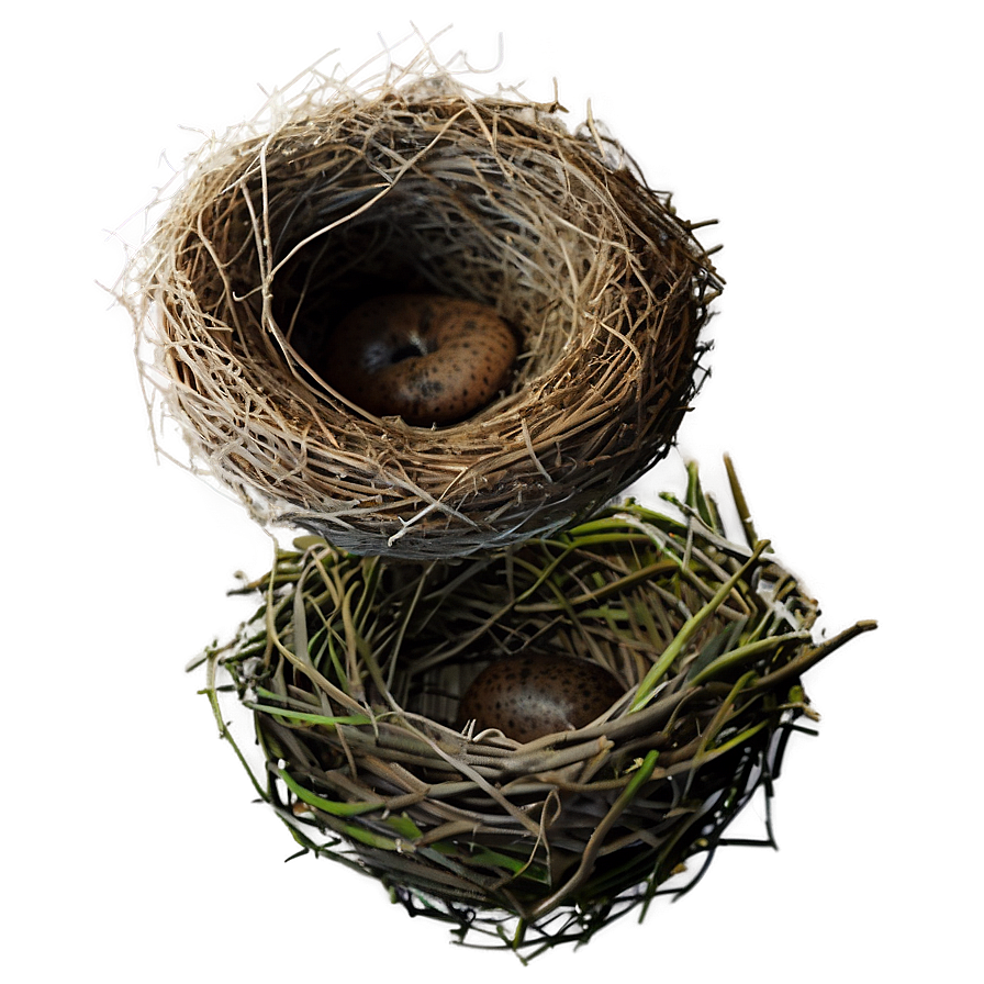 Realistic Bird Nest Png Iow54 PNG image