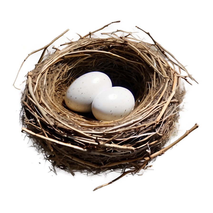 Realistic Bird Nest Png Srg PNG image