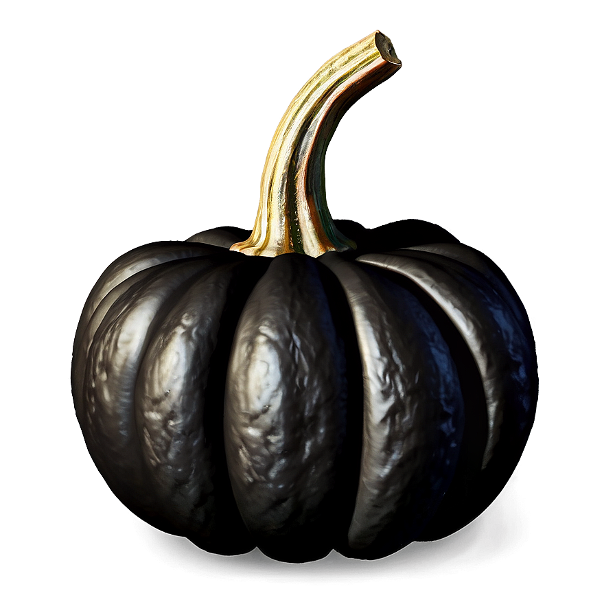 Realistic Black Pumpkin Png 43 PNG image