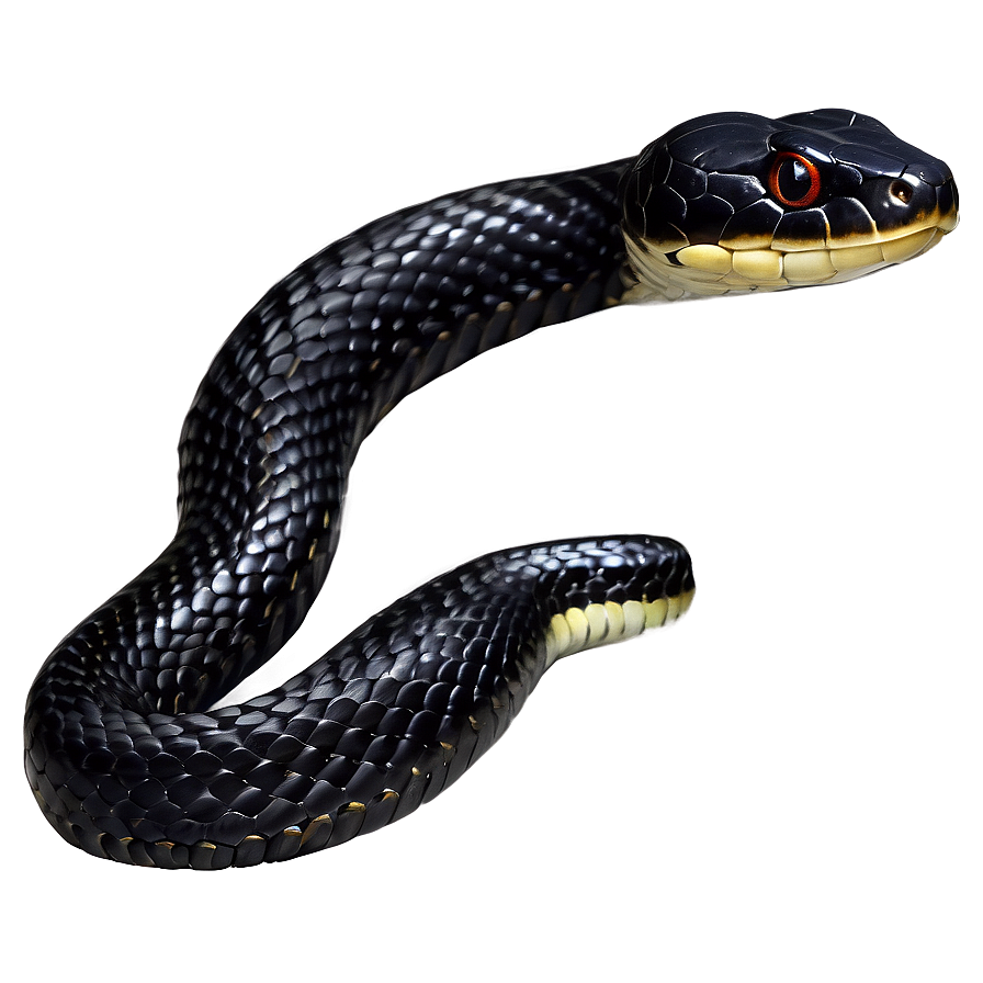 Realistic Black Snake Design Png 06132024 PNG image