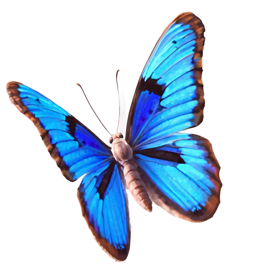 Realistic Blue Butterfly Image Png 31 PNG image