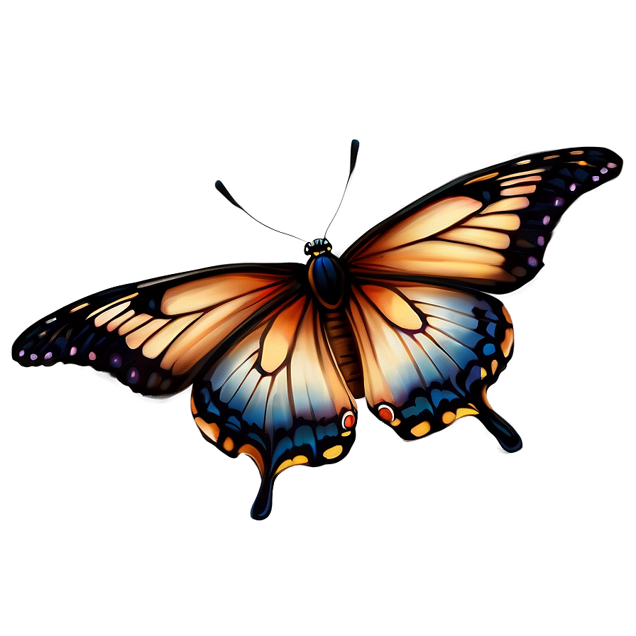 Realistic Butterfly Outline Png 47 PNG image