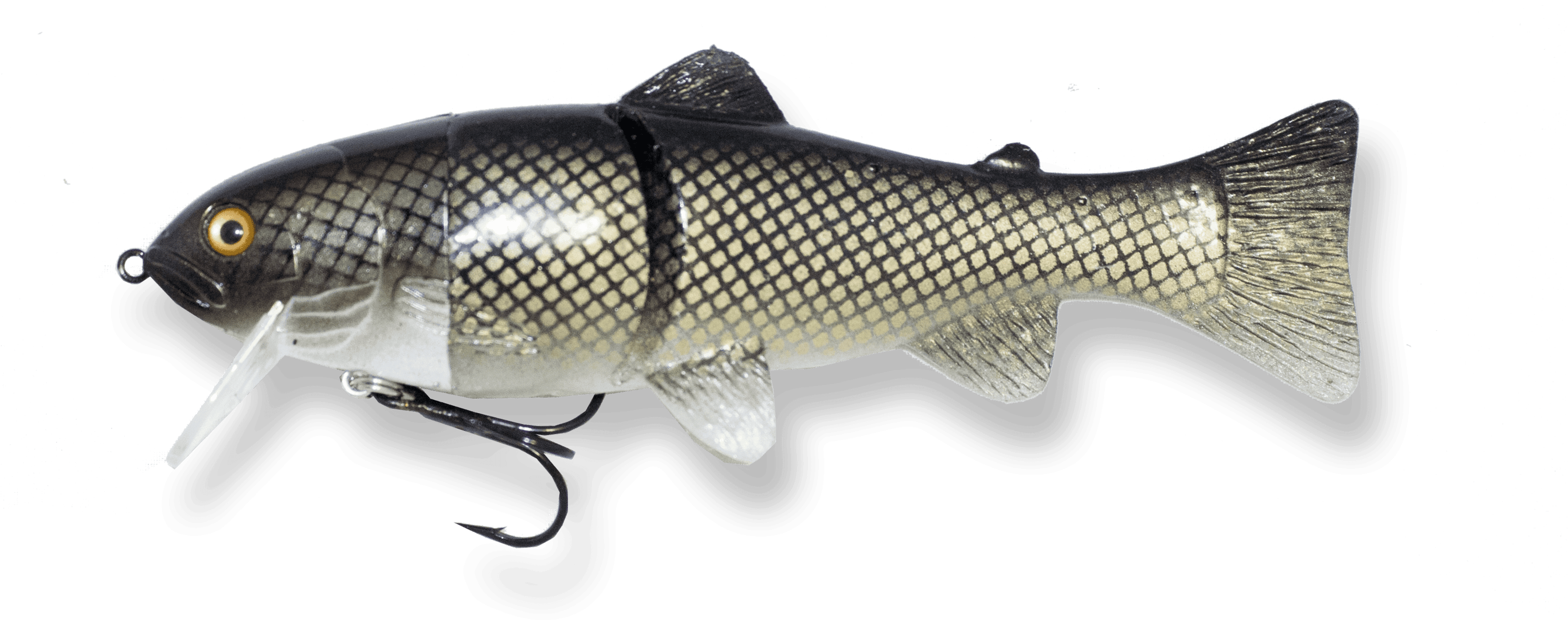 Realistic Carp Fishing Lure PNG image