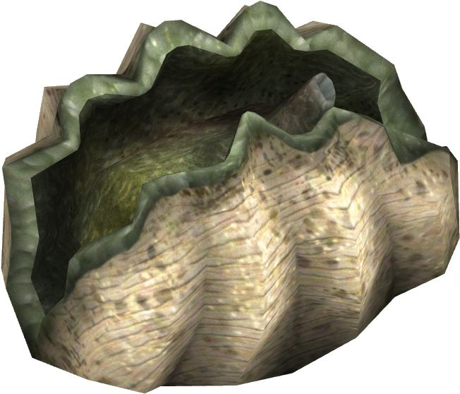 Realistic Clam Shell3 D Render PNG image