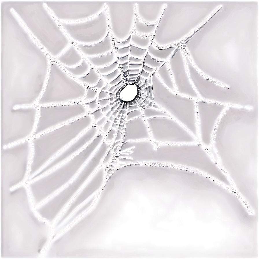 Realistic Cobweb Graphic Png 81 PNG image