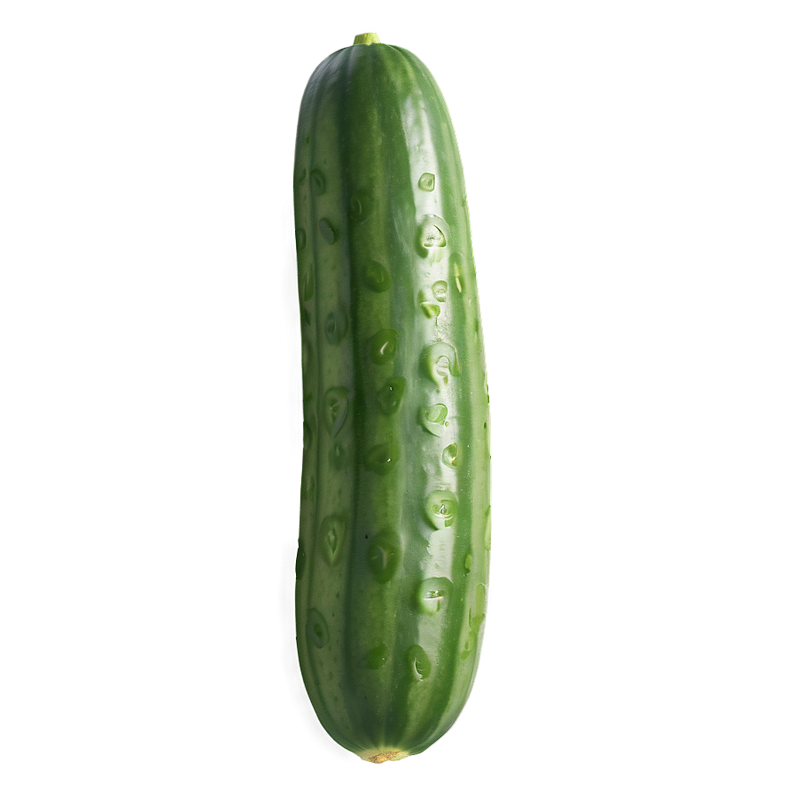 Realistic Cucumber Png Kfq49 PNG image