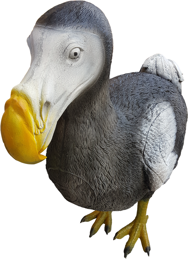 Realistic Dodo Bird Illustration PNG image