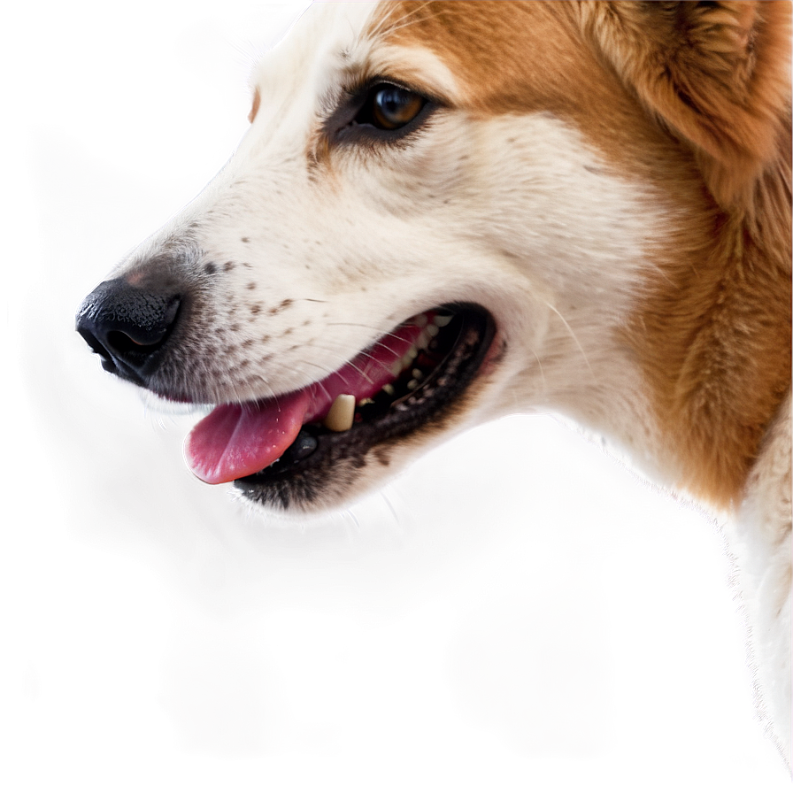 Realistic Dog Png Kvd PNG image