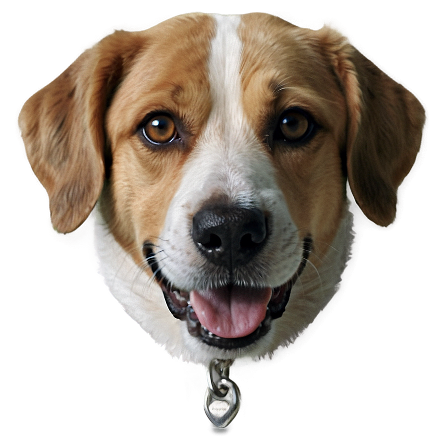 Realistic Dog Transparent Png 44 PNG image