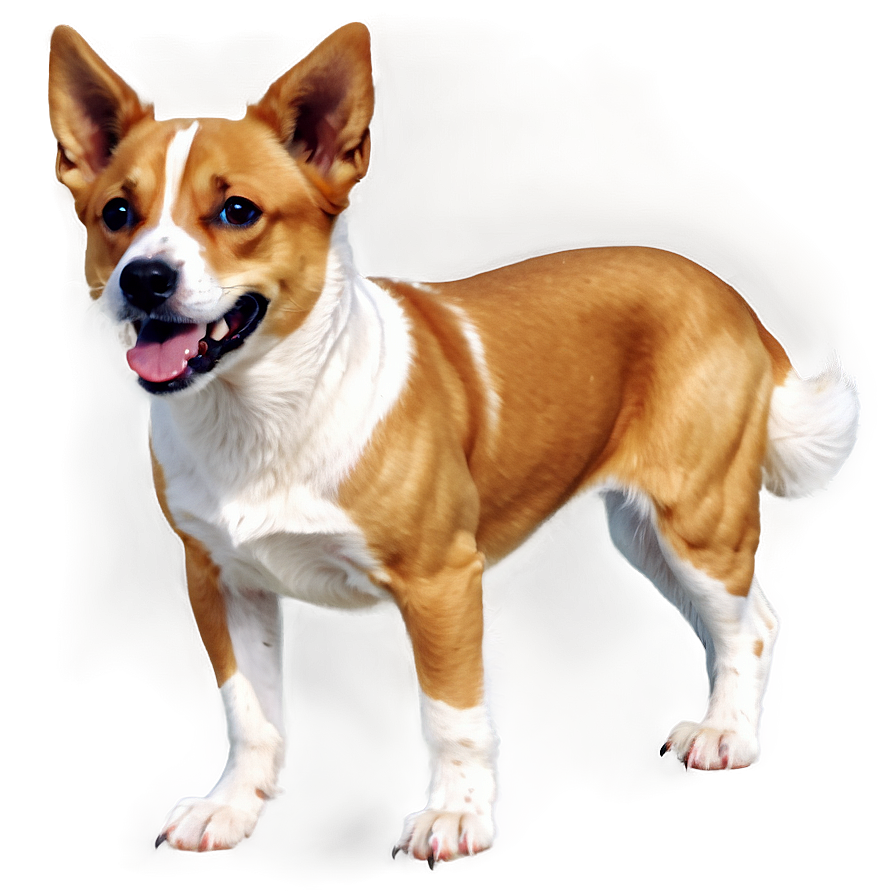 Realistic Dogs Png Cim PNG image