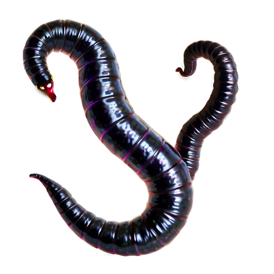 Realistic Earthworm Png 05242024 PNG image