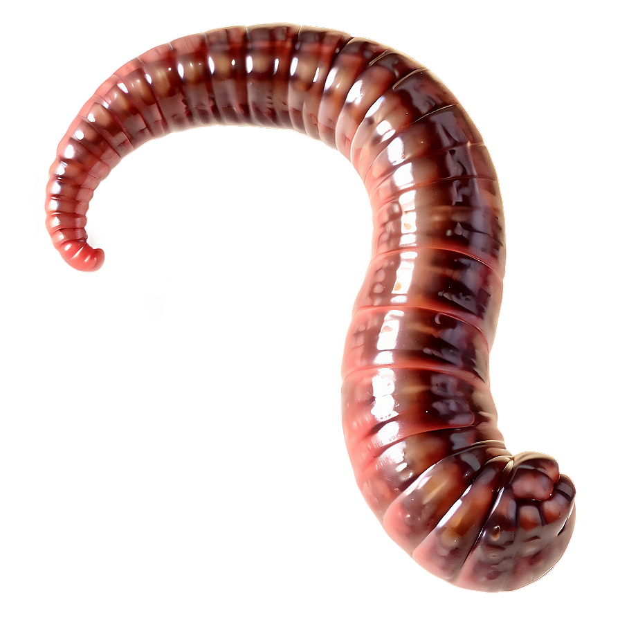 Realistic Earthworm Png Uks PNG image