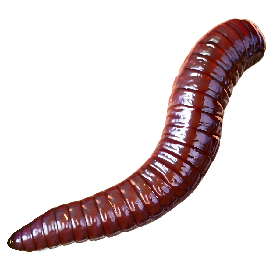 Realistic Earthworm Png Yns PNG image