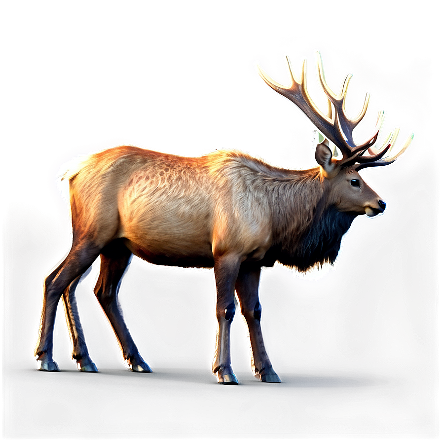 Realistic Elk Png Gum PNG image