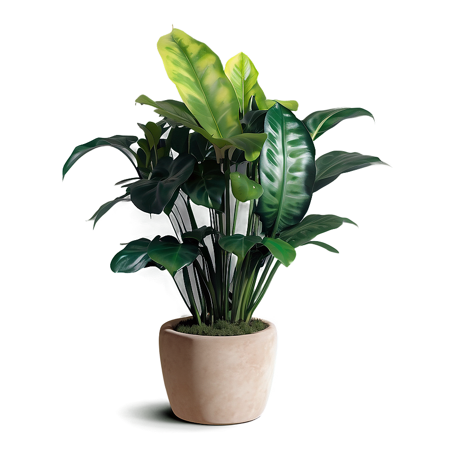 Realistic Floor Plant Png 28 PNG image