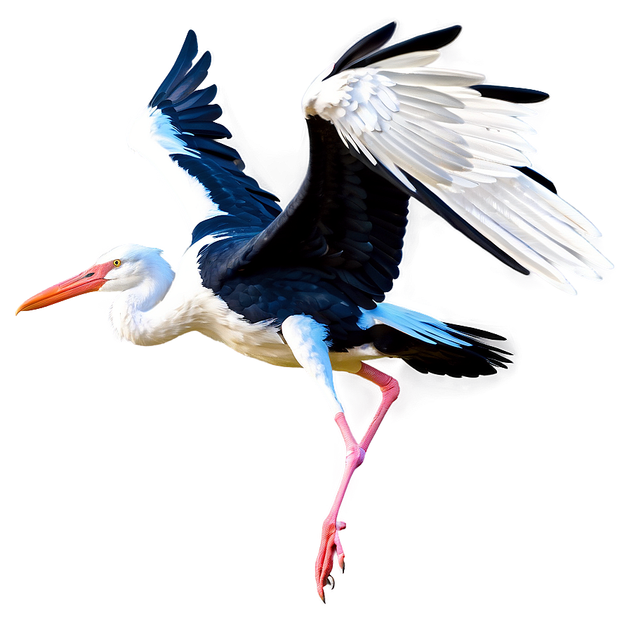 Realistic Flying Stork Png 06122024 PNG image