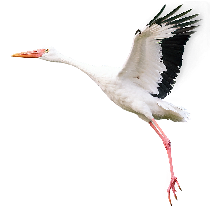 Realistic Flying Stork Png 06122024 PNG image