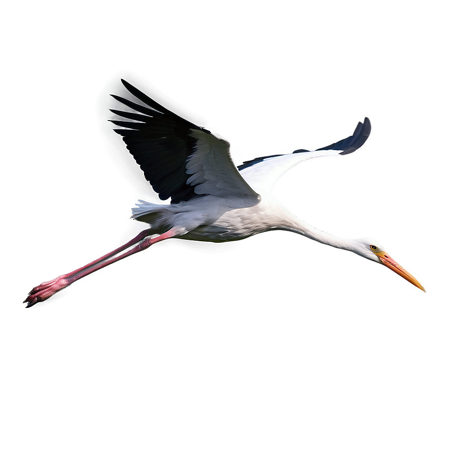 Realistic Flying Stork Png Bdg PNG image