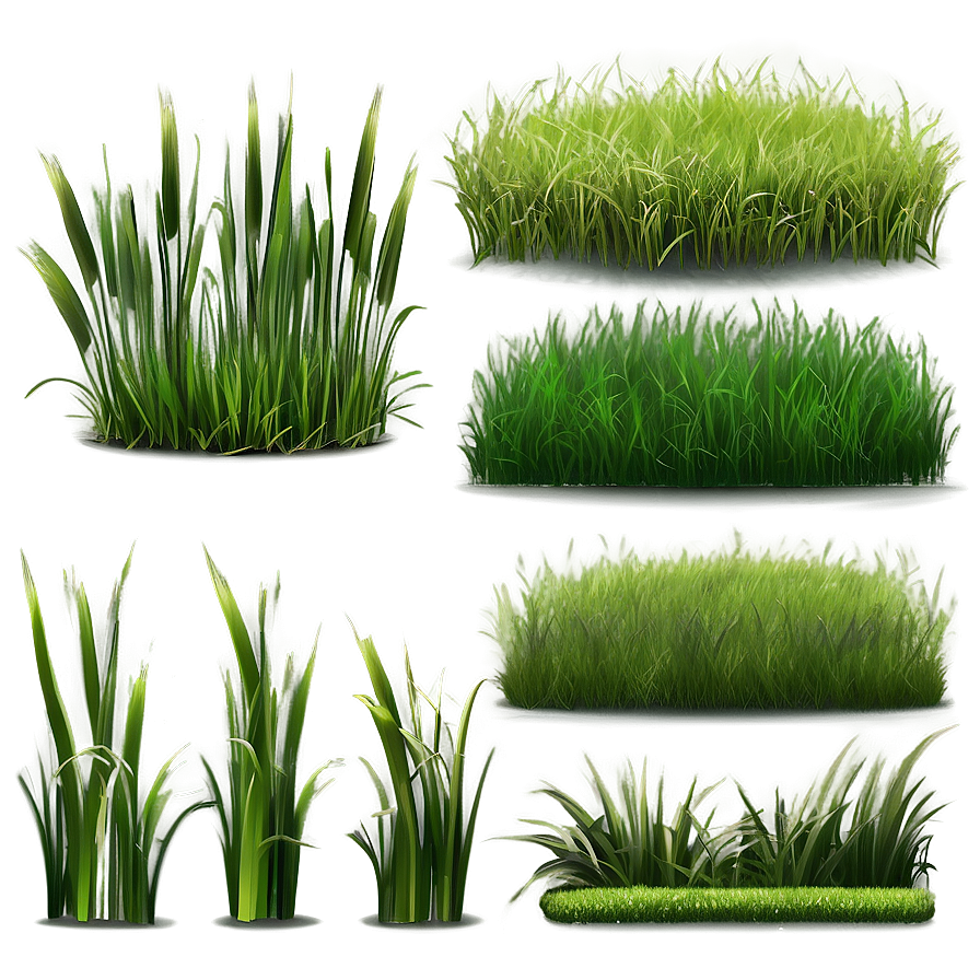 Realistic Grass Clipart Png Adh PNG image