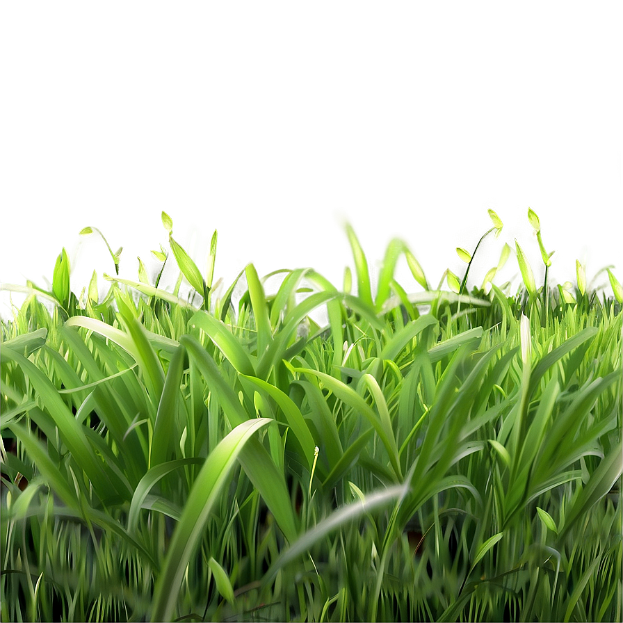 Realistic Green Grass Png 06262024 PNG image