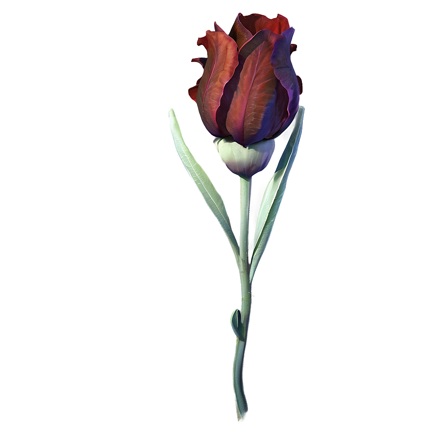 Realistic Indie Flower Png Vfl PNG image