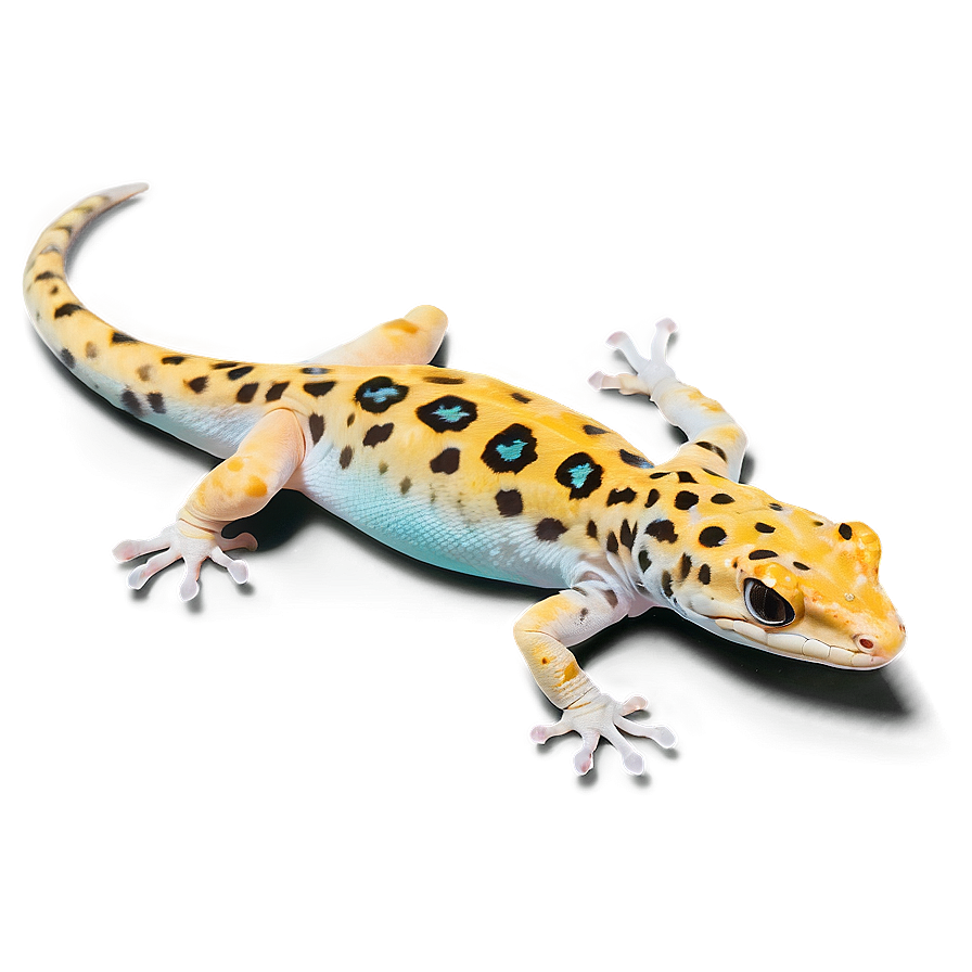 Realistic Leopard Gecko Png Cda PNG image