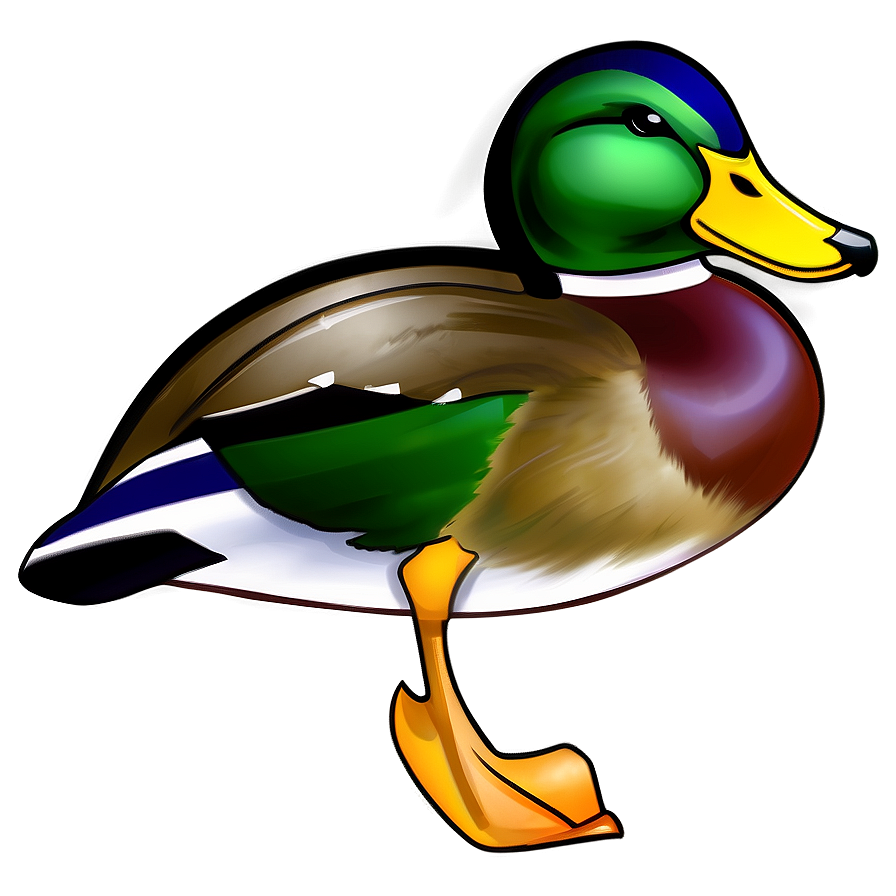 Realistic Mallard Duck Png 28 PNG image