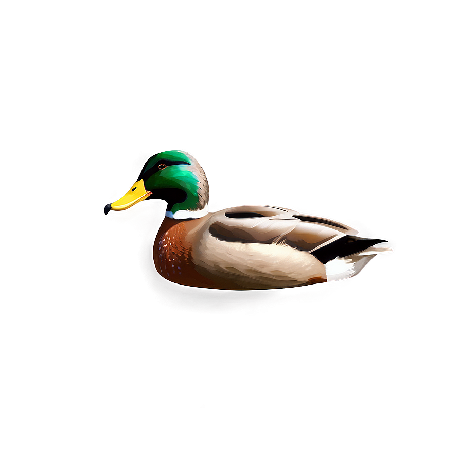 Realistic Mallard Duck Png Gfr PNG image