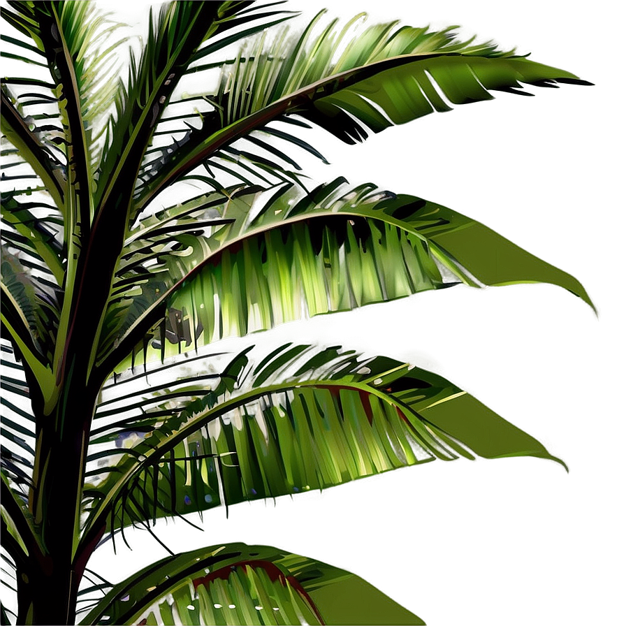 Realistic Palm Leaves Png 13 PNG image