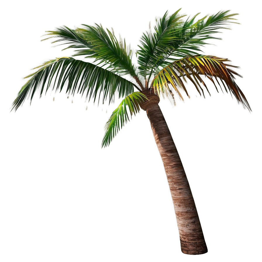 Realistic Palm Tree Png Xsn92 PNG image