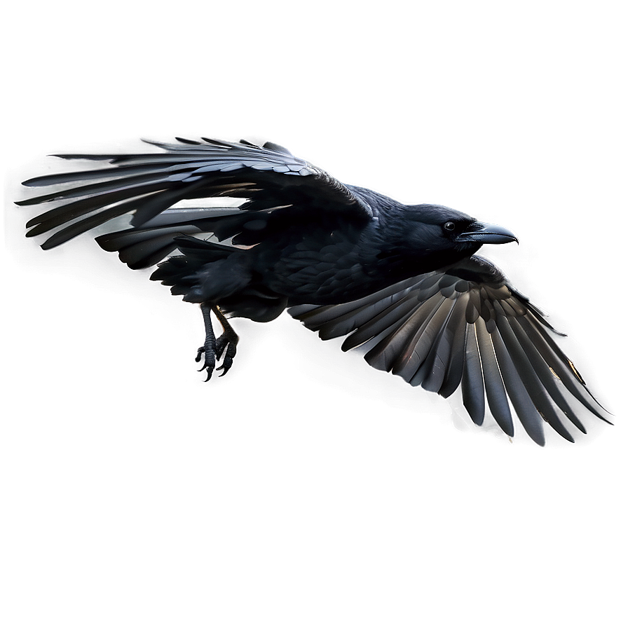 Realistic Raven In Flight Png 06122024 PNG image