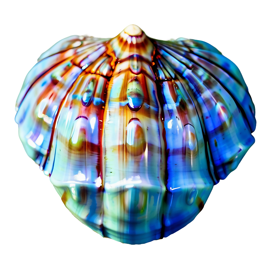 Realistic Seashell Clipart Png Ceh91 PNG image