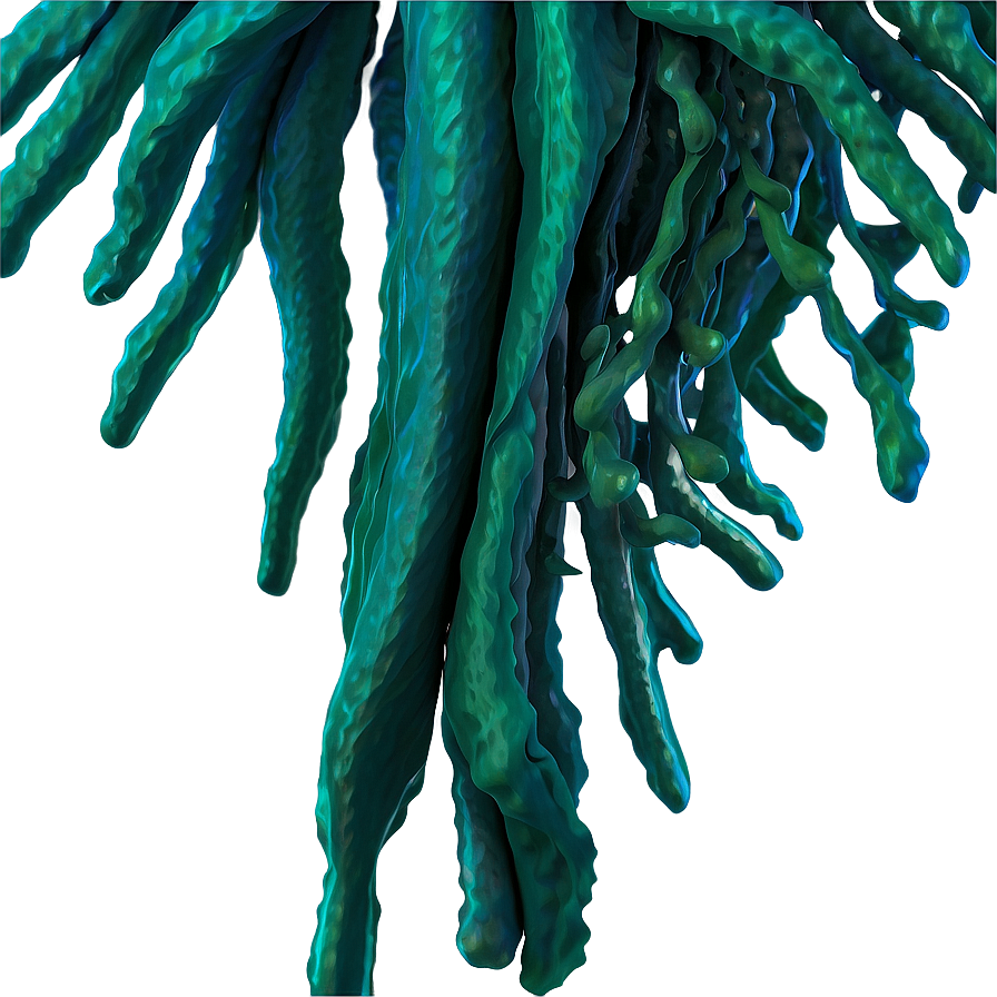 Realistic Seaweed Art Png Lgu PNG image