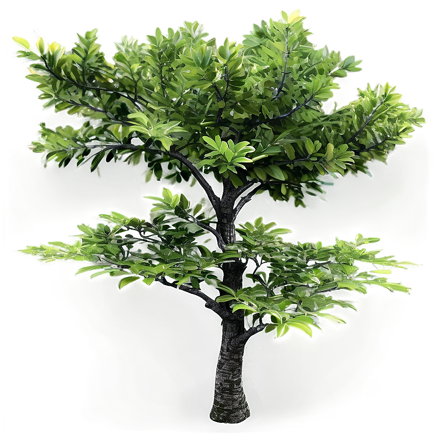 Realistic Small Tree Png 06132024 PNG image