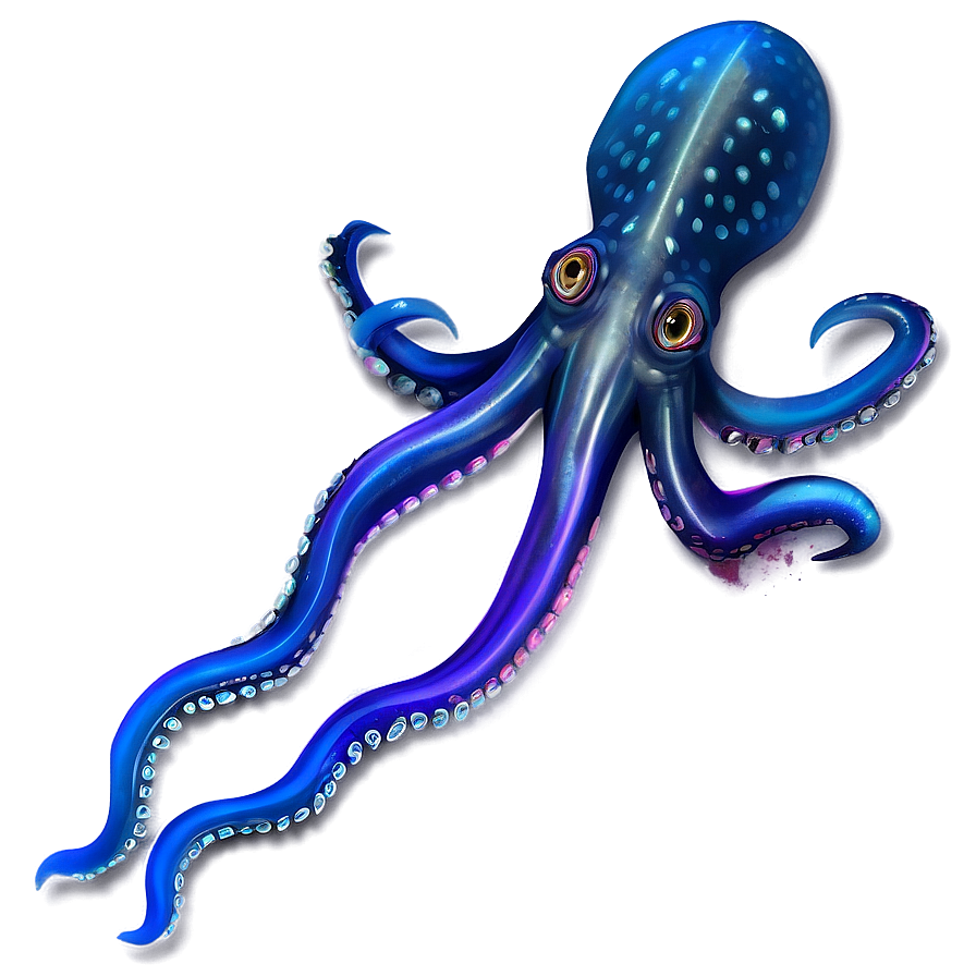 Realistic Squid Art Png 86 PNG image