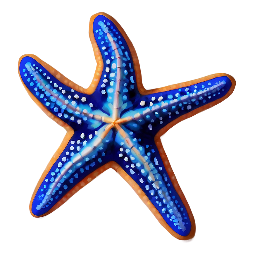 Realistic Starfish Drawing Png Mob PNG image